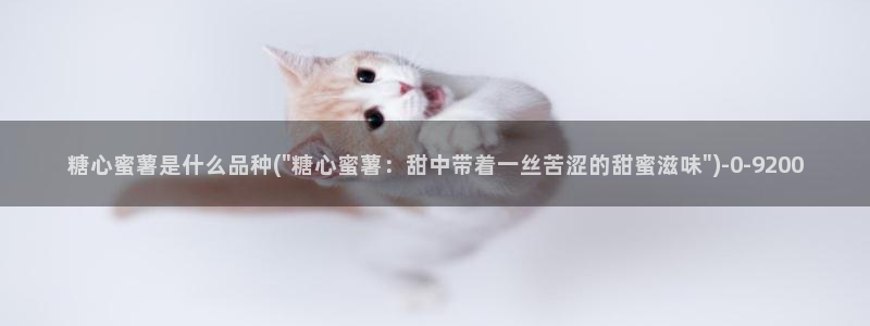 糖心w