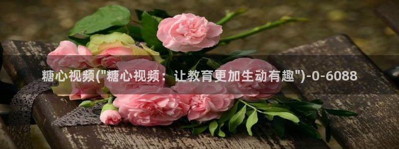 糖心volg是什么