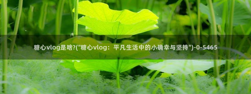 com.糖心：糖心vlog是啥?(\