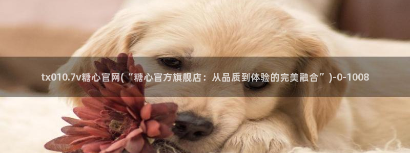 糖心版