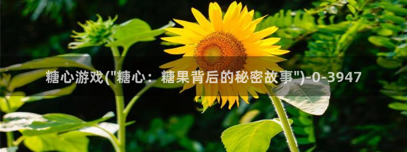 糖心vlgo艺人